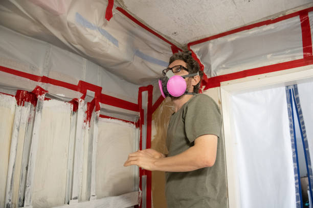 Biohazard Mold Removal in Greenbriar, VA